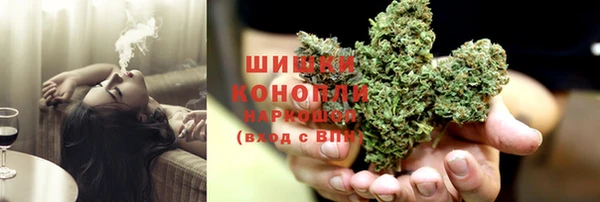 крисы Абдулино