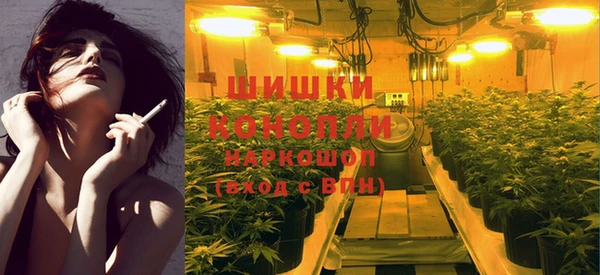 крисы Абдулино