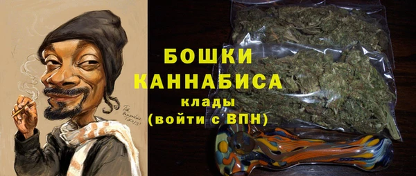 винт Магас